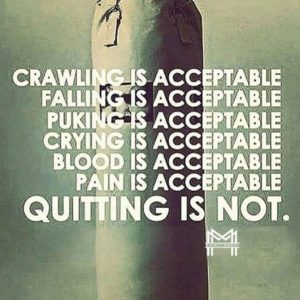 An image of a punching bag with the words, "Crawling is acceptable, falling is acceptable, puking is acceptable, crying is acceptable, blood is acceptable, pain is acceptable, Quitting is not" Attitude is a reflection of mindset.